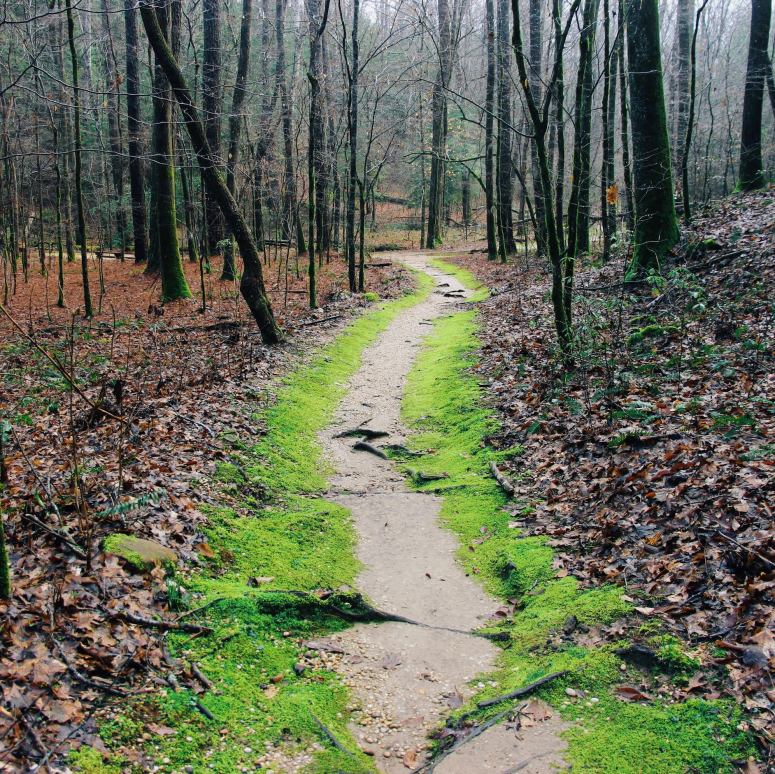 Processed with VSCO with c3 preset